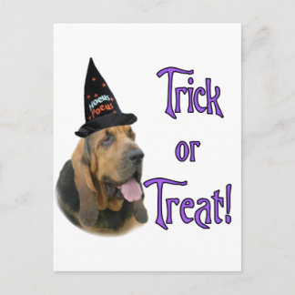 Bloodhound Trick Postcard