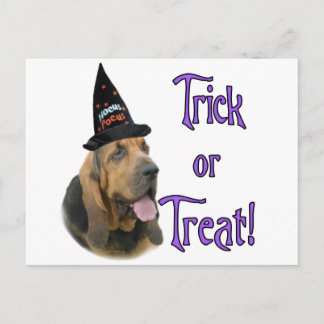 Bloodhound Trick Postcard