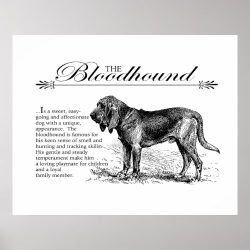 Bloodhound Vintage Storybook Style Poster