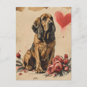 Bloodhound vintage Valentine's Day  Postcard