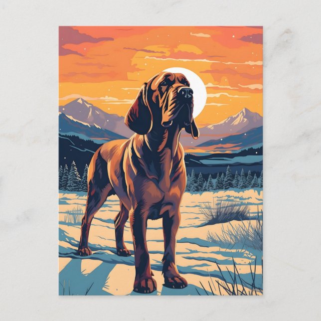 Bloodhound winter mountain forest during sunset postcard (Front)