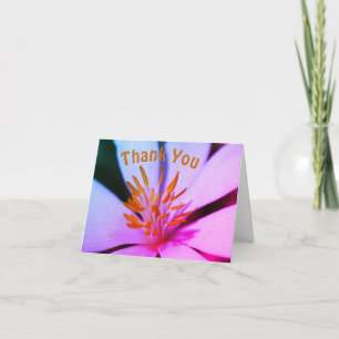 Bloodroot Flower Center Thank You Card