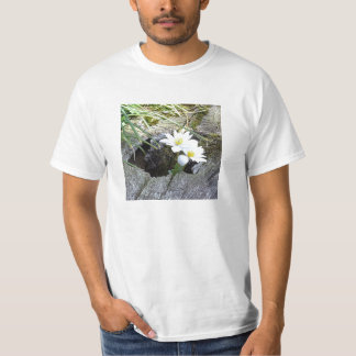 Bloodroot, Sanguinaria canadensis T-Shirt