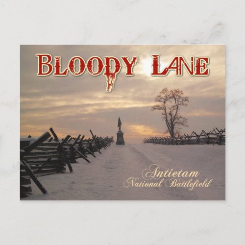 Bloody Lane Antietam National Battlefield MD Postcard