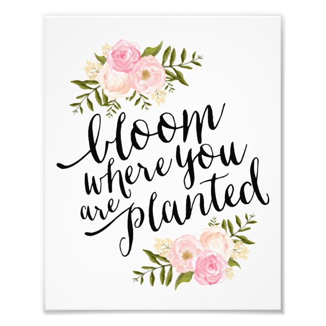 Bloom | Art Print (Front)