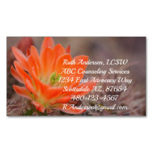 Bloom in orange cactus blossom