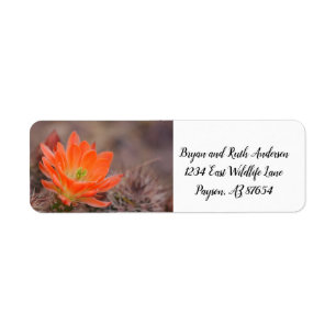 Bloom in orange cactus blossom label