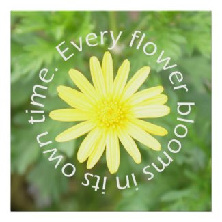 Bloom in Perfect Time Sun Flower Poster