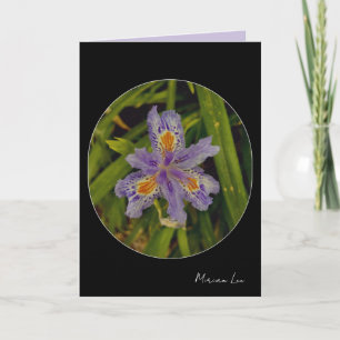bloom in purple card