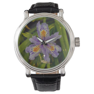 bloom in purple watch