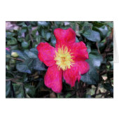 Bloom - painting, card (Front Horizontal)