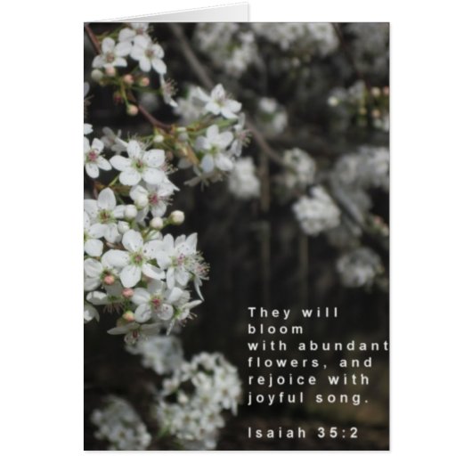 Bloom Scripture Card (Front)