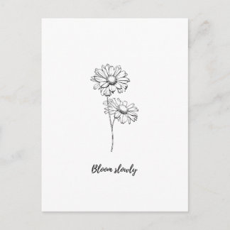 Bloom Slowly Minimal Daisy Floral Sticker Postcard