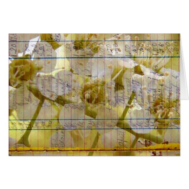 Bloom Vintage Ledger Page Cherry Blossom (Front Horizontal)