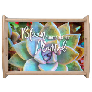 Bloom Where Planted Turquoise Green Cactus Photo Serving Tray