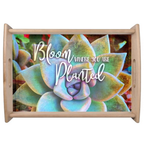 Bloom Where Planted Turquoise Green Cactus Photo Serving Tray