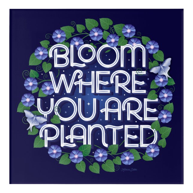 Bloom Where You Are Planted Acrylic Wall Art (Front)