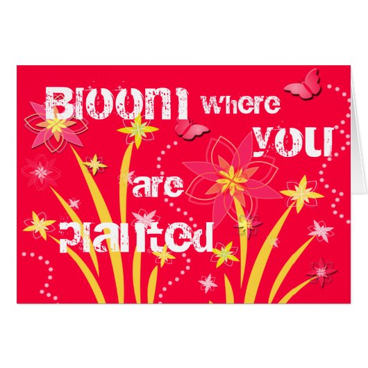 Bloom where you are planted cards (Front Horizontal)