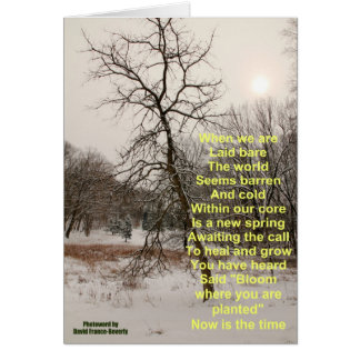 Bloom where you are planted cards