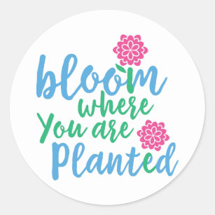 Circle Sticker Bloom Where You Are Planted 3in