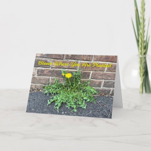 Bloom Where You Are Planted Dandelion Photo Card