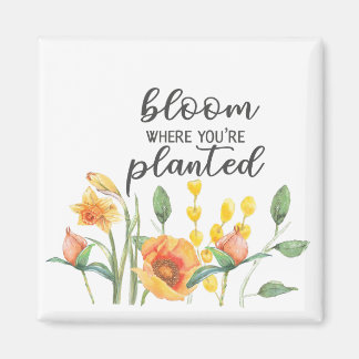 Bloom where you are planted magnet