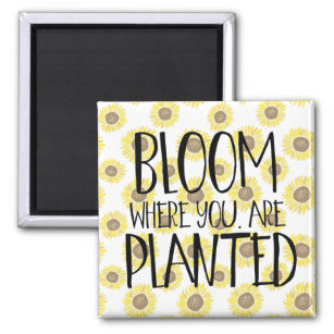 Bloom Where You Are Planted Mug – Market with a B.