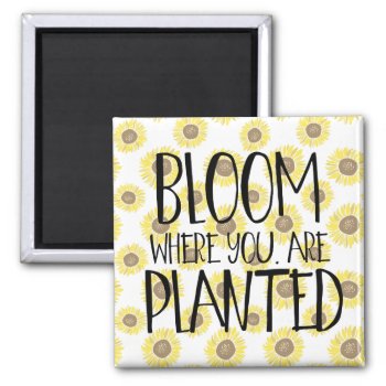 Bloom Where You Are Planted Magnet by peacefuldreams at Zazzle
