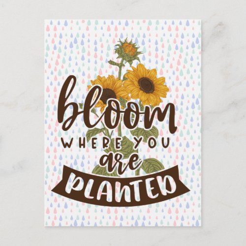 Bloom Where You Are Planted Postcard