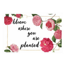 Bloom Where you are planted