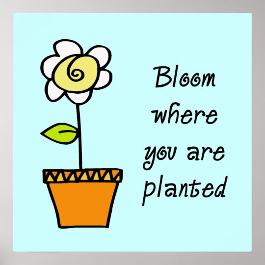 Bloom Where You Are Planted Poster | Zazzle.com