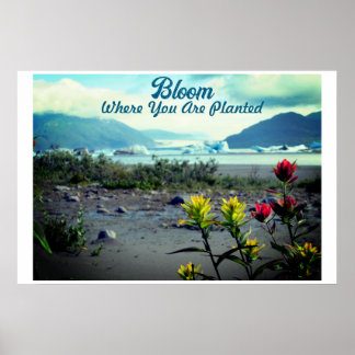 Bloom Where You Are Planted Poster