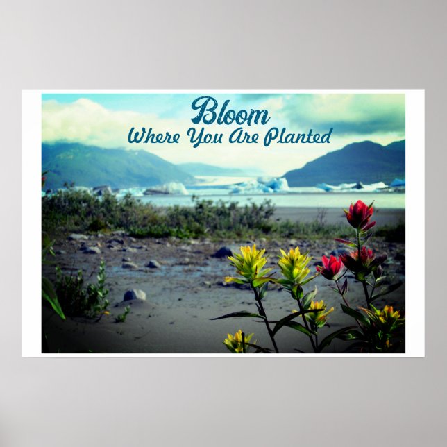 Bloom Where You Are Planted Poster (Front)