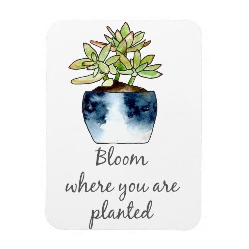 Bloom Where You Are Planted Succulent Magnet