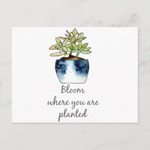 Bloom Where You Are Planted Succulent Postcard