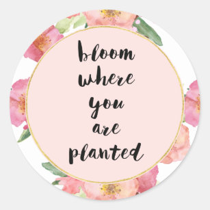 Circle Sticker Bloom Where You Are Planted 3in