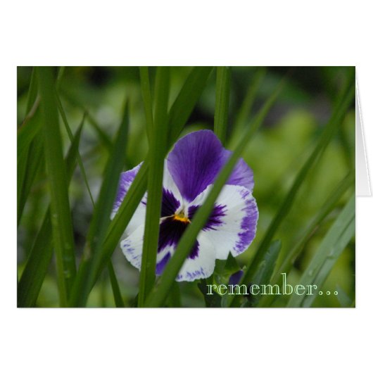 bloom where you're planted... cards (Front Horizontal)