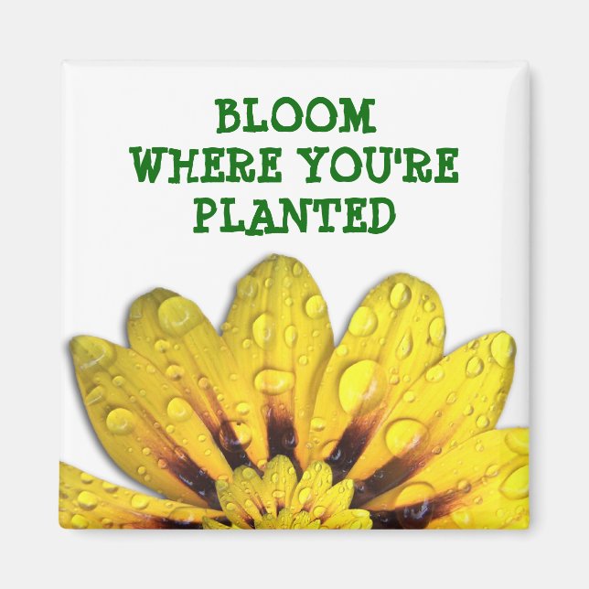 Bloom where you're Planted Magnet (Front)