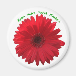 Bloom where you're planted magnet