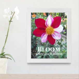 Bloom Where You're Planted Quote Floral Framed Art