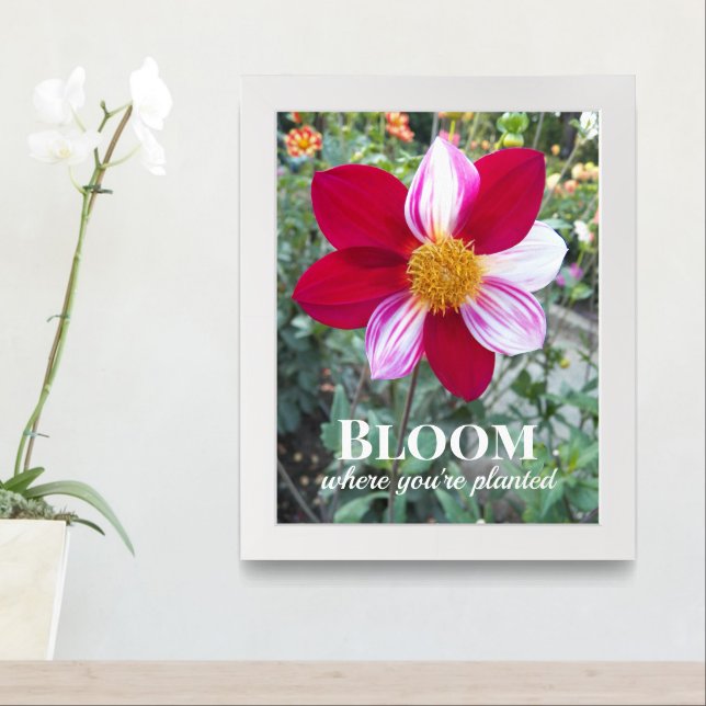 Bloom Where You're Planted Quote Floral Framed Art (Entryway)
