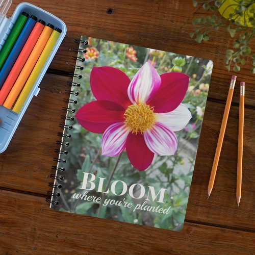 Bloom Where Youre Planted Quote Floral Notebook