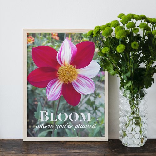 Bloom Where Youre Planted Quote Floral Poster