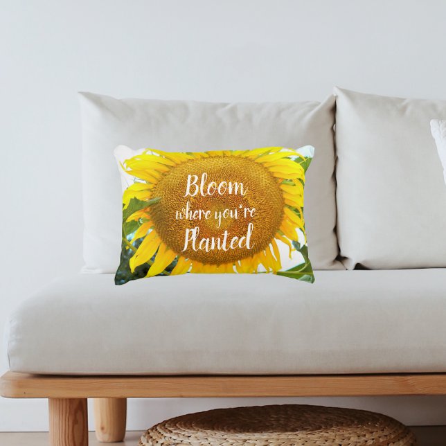 Bloom Where You're Planted Quote Sunflower Accent Pillow (In Situ Sofa)