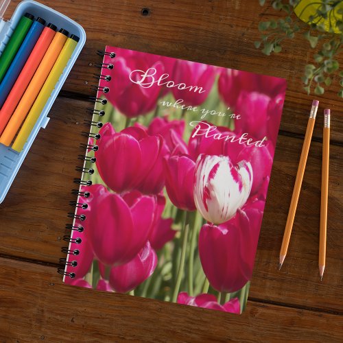Bloom Where Youre Planted Quote Tulip Notebook
