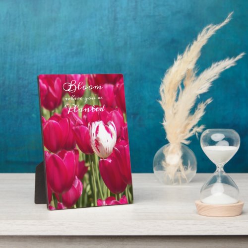 Bloom Where Youre Planted Quote Tulip Plaque