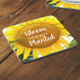 Bloom Where You're Planted Yellow Sunflower Beverage Coaster