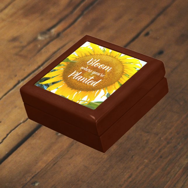 Bloom Where You're Planted Yellow Sunflower Gift Box (In Situ)