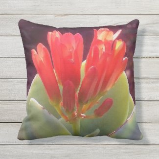 Blooming Agave Outdoor Pillow
