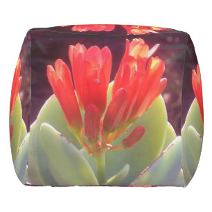 Blooming Agave Outdoor Pouf